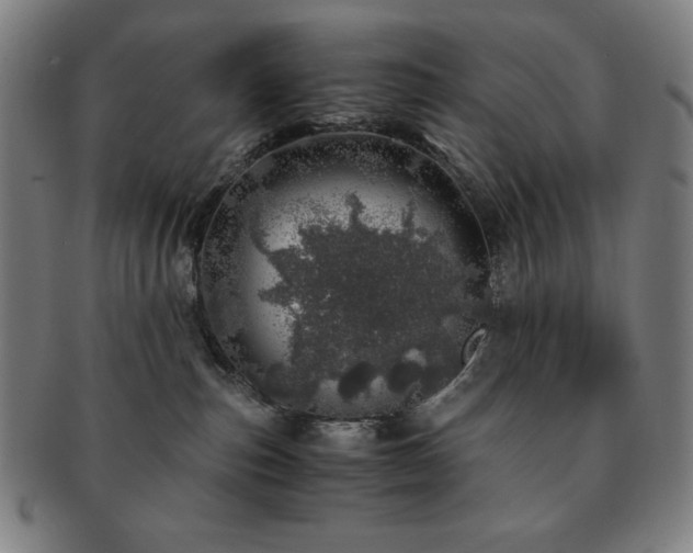 X0000091450187200708231303