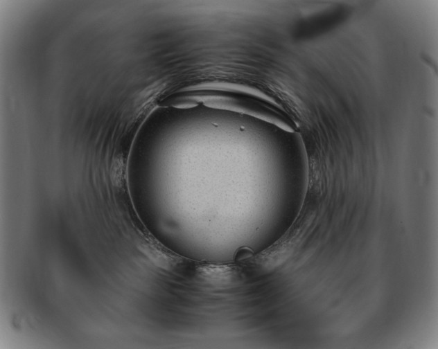 X0000091450189200708231303