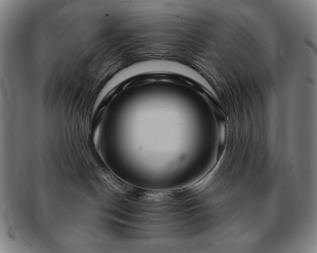 X0000091450190200708231303