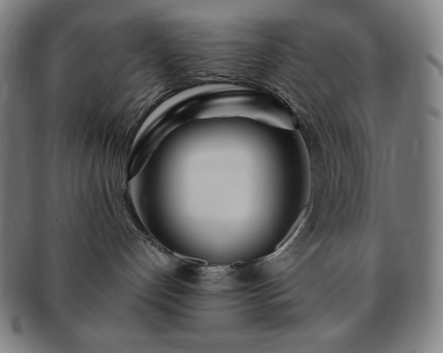 X0000091450192200708231303