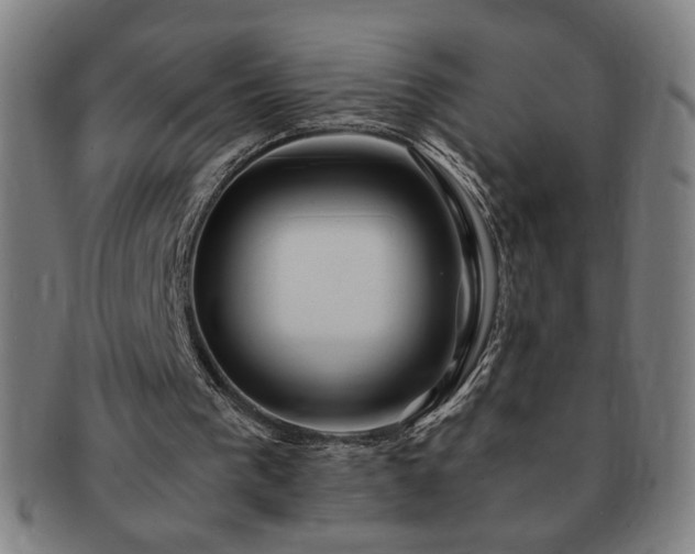 X0000091450193200708231302