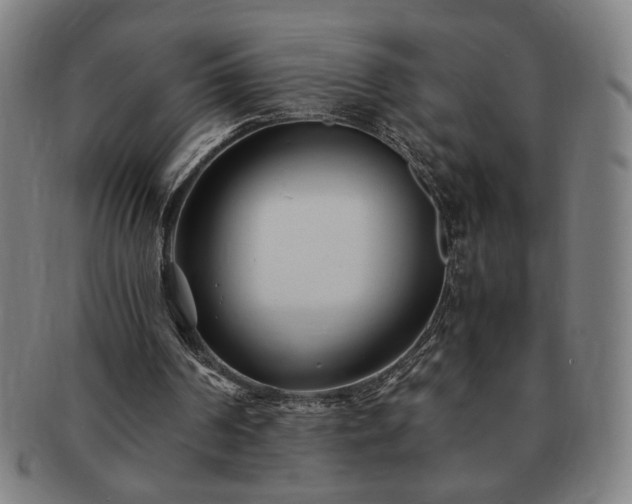 X0000091450194200708231302