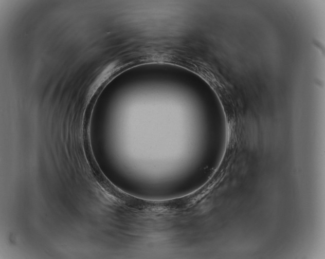 X0000091450195200708231302