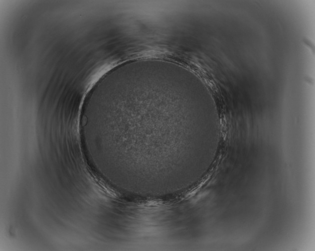 X0000091450196200708231302