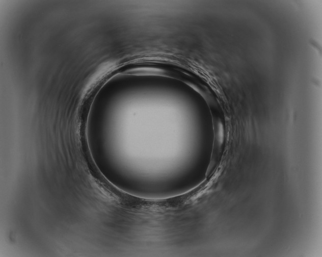 X0000091450197200708231302