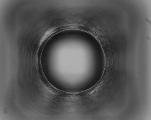 X0000091450198200708231302