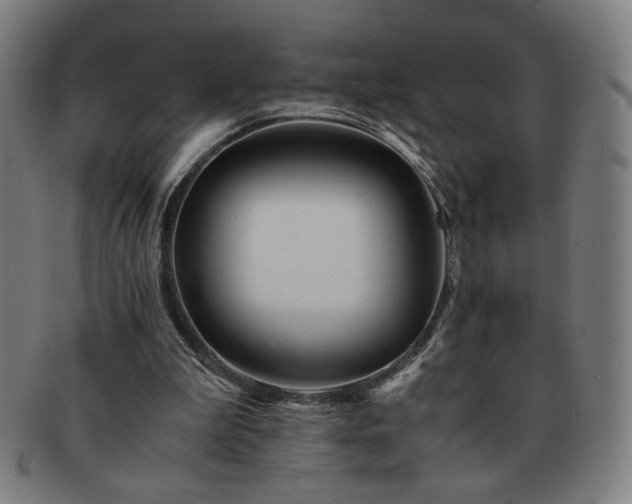 X0000091450199200708231302
