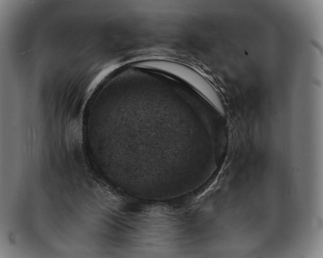 X0000091450200200708231302