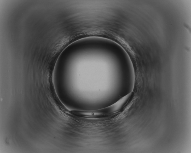 X0000091450201200708231302