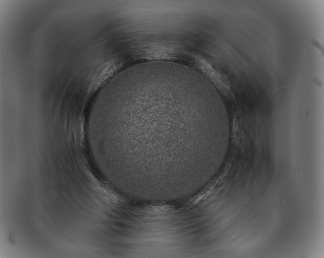 X0000091450202200708231302