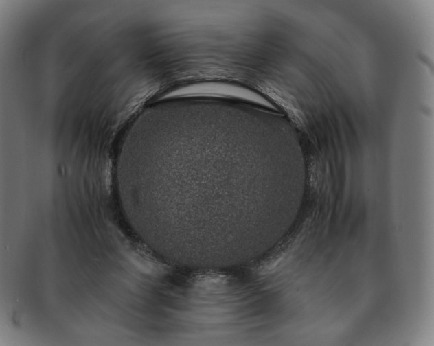 X0000091450206200708231302