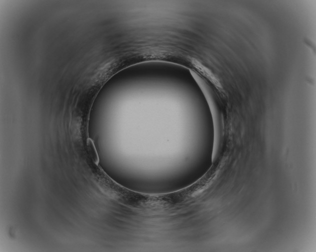 X0000091450209200708231302