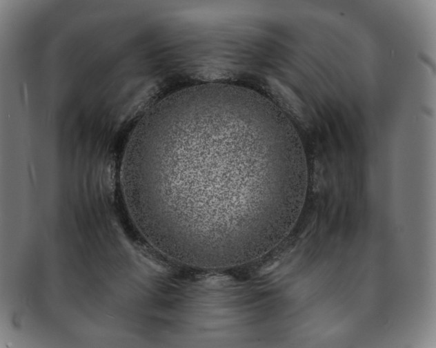 X0000091450210200708231302