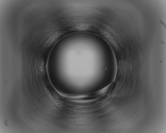 X0000091450212200708231302