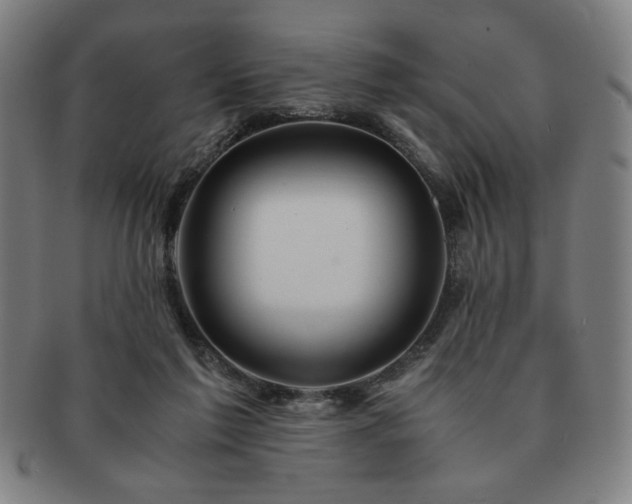 X0000091450213200708231302