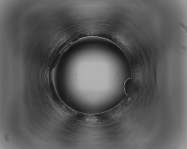 X0000091450214200708231302