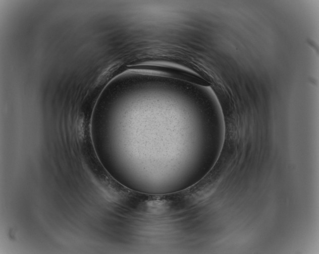X0000091450216200708231302