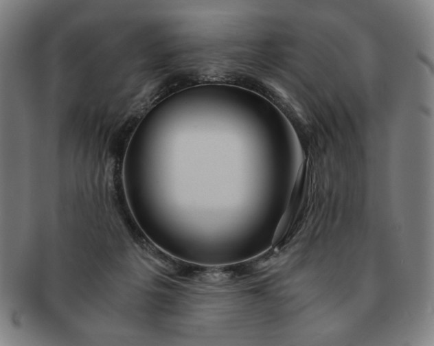 X0000091450217200708231302