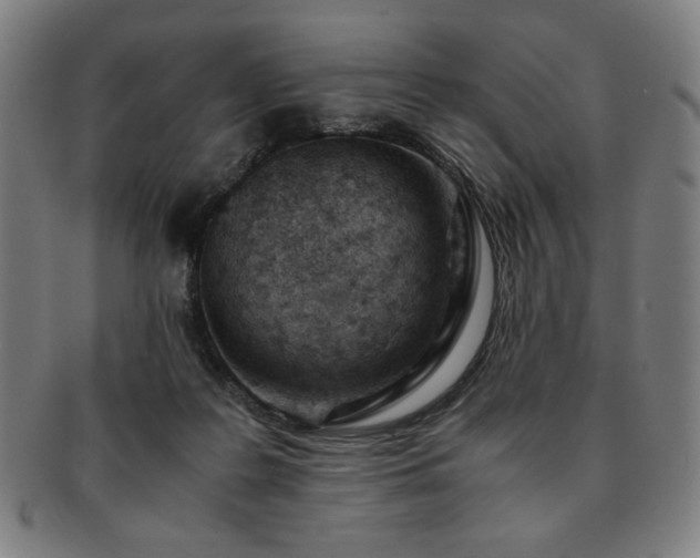 X0000091450219200708231302