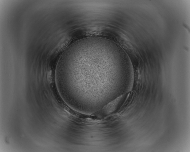 X0000091450224200708231302