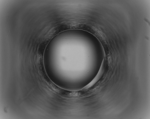 X0000091450225200708231302