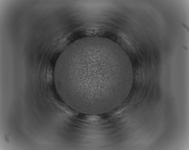 X0000091450226200708231302