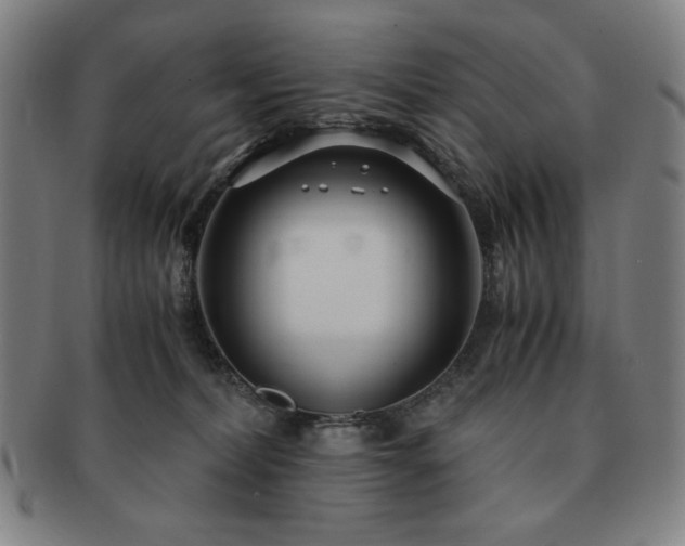 X0000091450228200708231302
