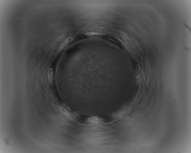 X0000091450231200708231302