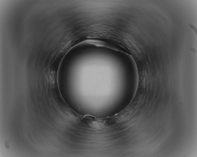 X0000091450232200708231302