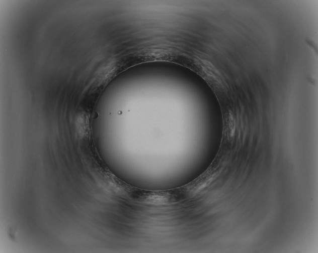 X0000091450236200708231302