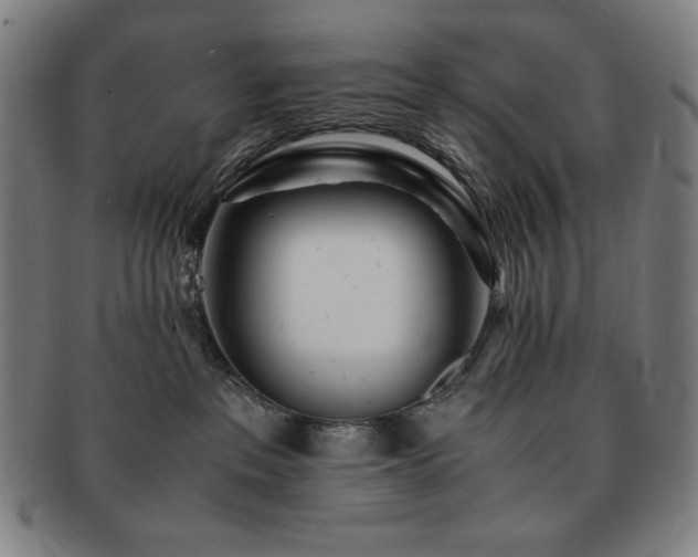 X0000091450237200708231302