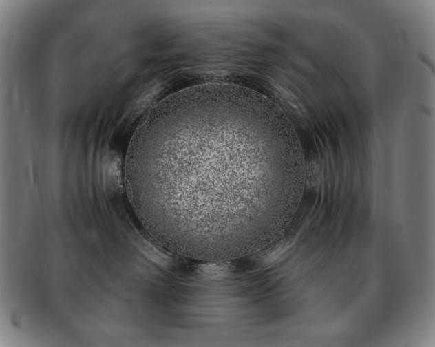 X0000091450238200708231302