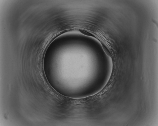 X0000091450241200708231301