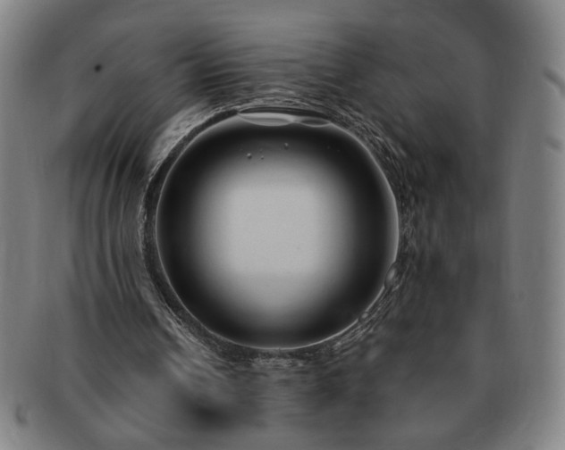 X0000091450242200708231301