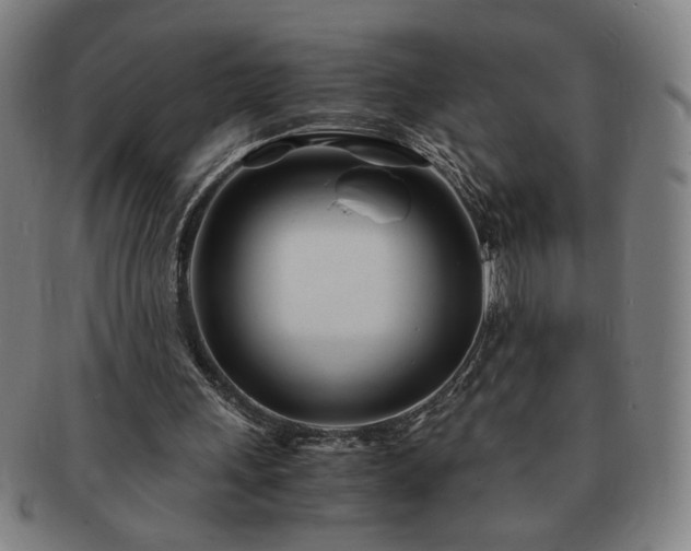 X0000091450243200708231301