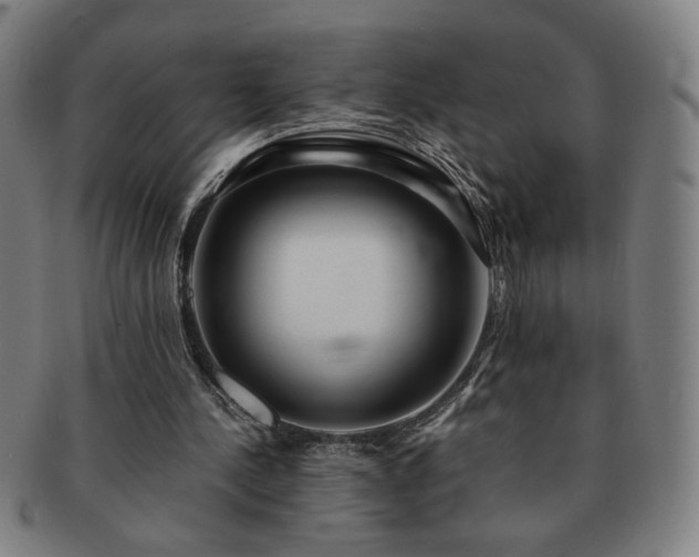 X0000091450244200708231301