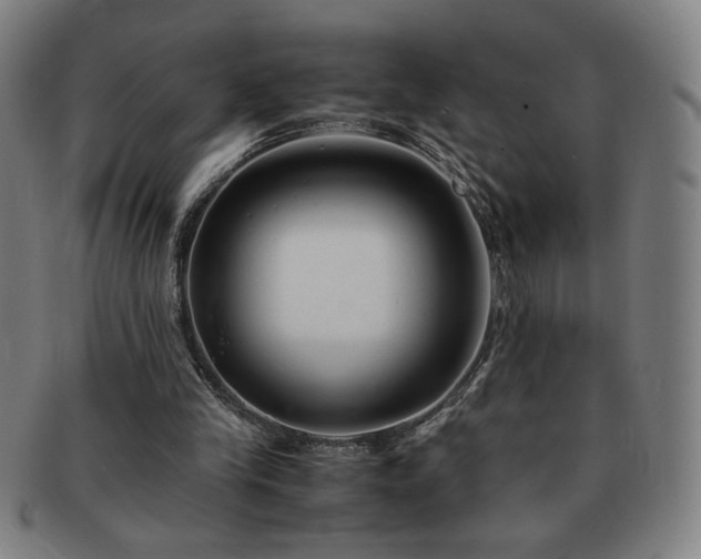 X0000091450245200708231301