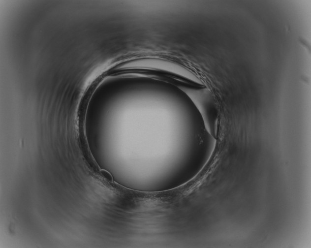 X0000091450246200708231301