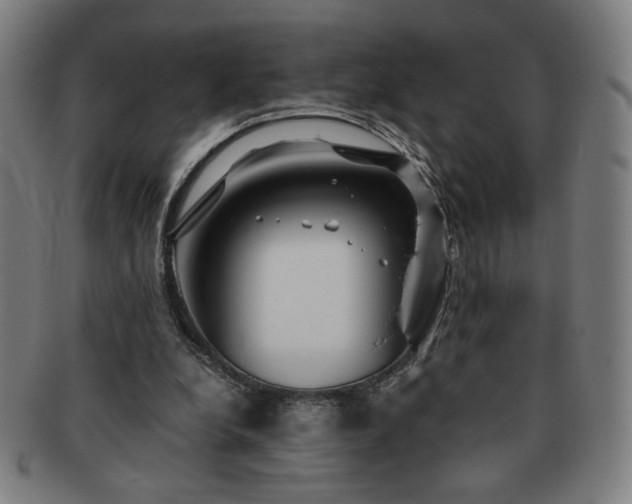X0000091450248200708231301