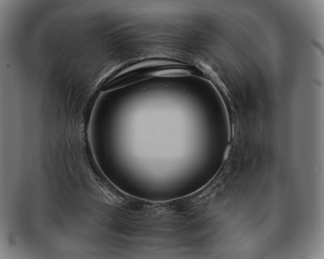 X0000091450249200708231301