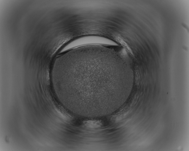 X0000091450251200708231301