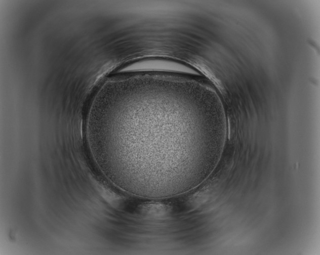 X0000091450253200708231301