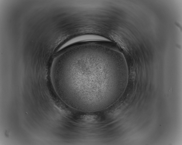X0000091450255200708231301