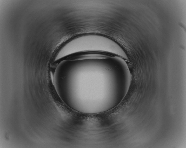 X0000091450256200708231301