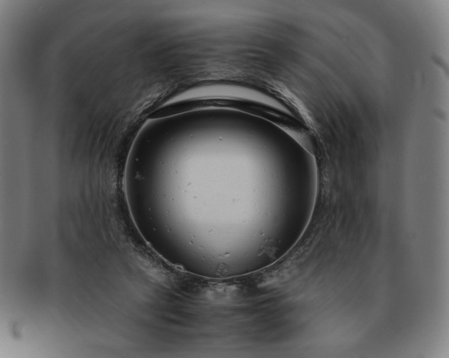 X0000091450257200708231301