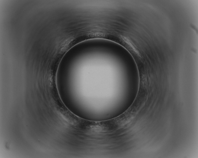 X0000091450259200708231301