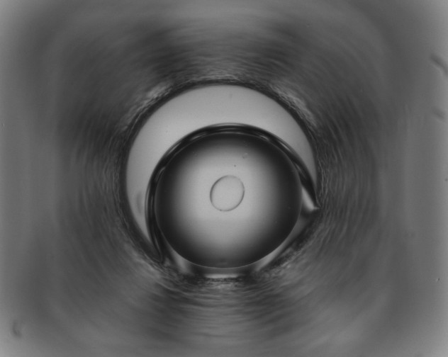 X0000091450260200708231301