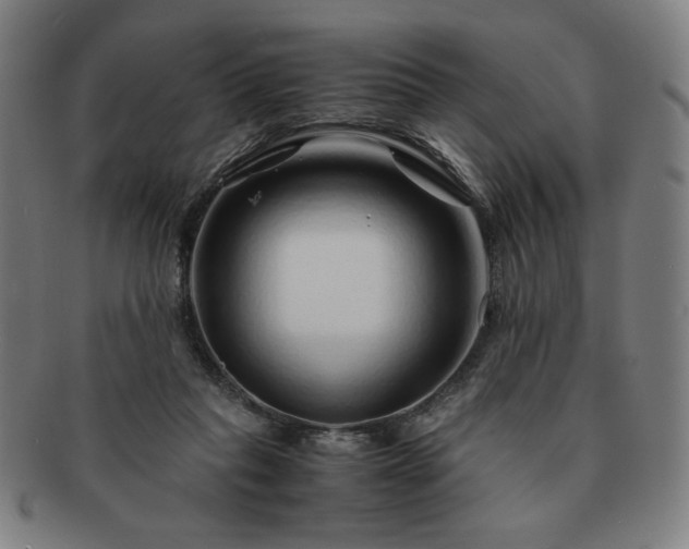 X0000091450261200708231301