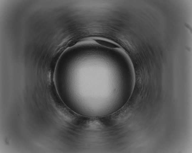 X0000091450262200708231301
