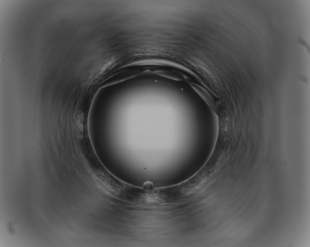 X0000091450264200708231301